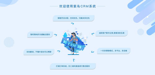 电商行业CRM云客服管理系统选哪家？紫鸟云客服——互联网信息技术服务的卓越选择