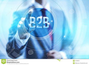 头部B2B网站推荐指南 互联网信息技术服务领域的精选之选