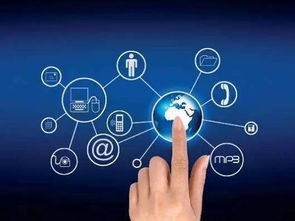 互联网时代金融信息服务创新的路径与策略