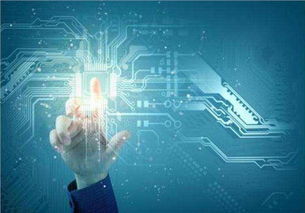 吴中区口碑佳、价格优的系统开发与互联网信息技术服务